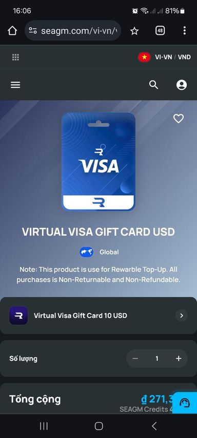 visa -usdt