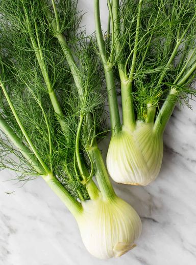 Fennel Bulb