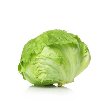 Iceberg Lettuce