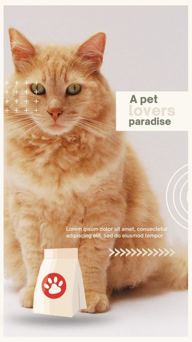 PETS Part III: Portrait 1080x1920 (70 pages)