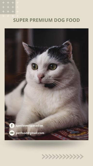 PETS Part III: Portrait 1080x1920 (70 pages)