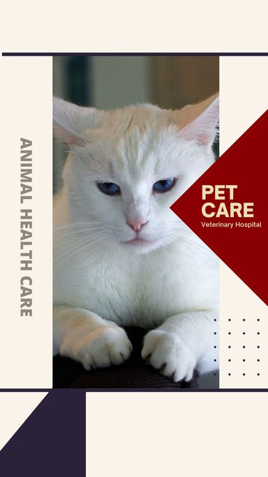 PETS Part IV: Portrait 1080x1920 (70 pages)