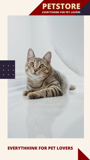 PETS Part IV: Portrait 1080x1920 (70 pages)