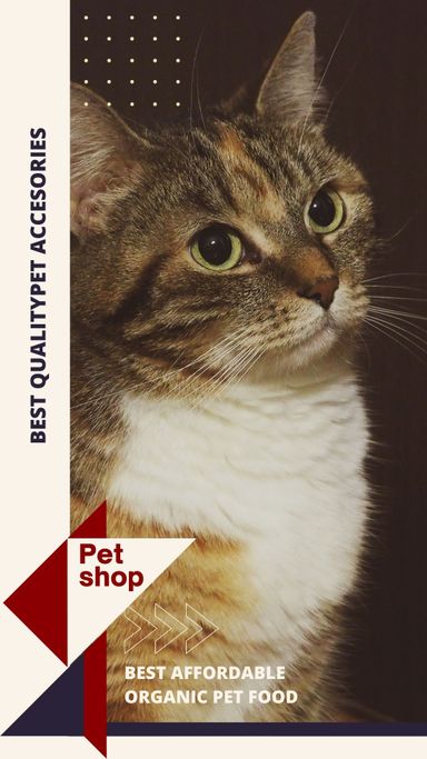 PETS Part IV: Portrait 1080x1920 (70 pages)