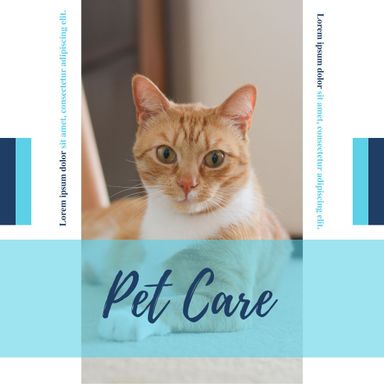 PETS Part V: Square 1080x1080 (70 pages)