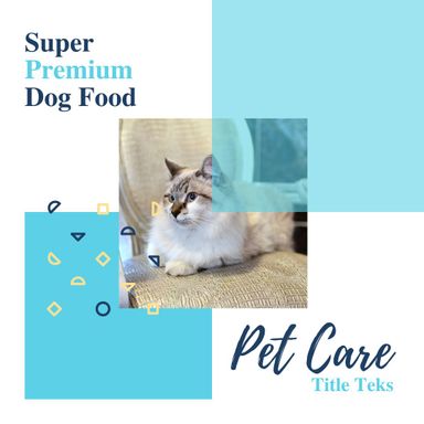 PETS Part V: Square 1080x1080 (70 pages)