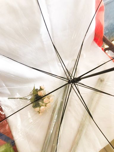 Parapluie transparent 