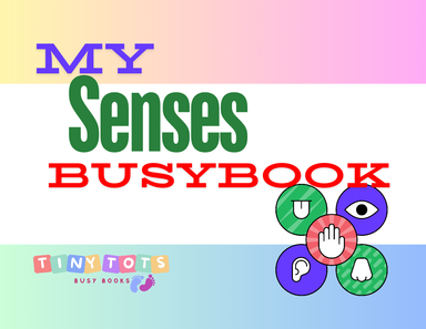 My Senses Busybook 