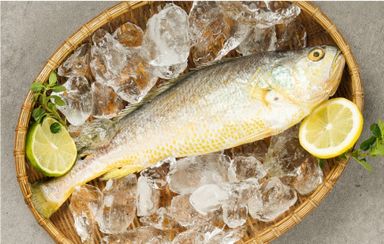 반건조 금조기 220~240g  