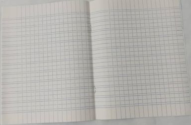 Cahier Double ligne 32 pages - Privilège