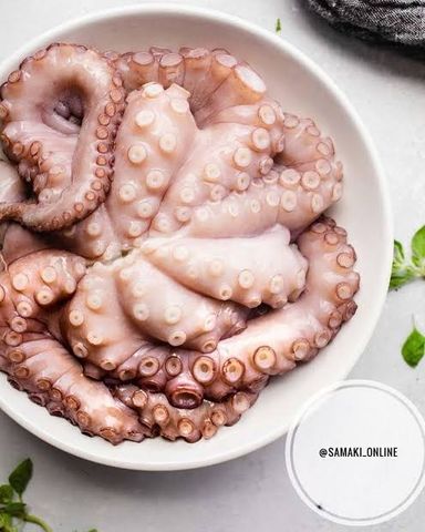 Octopus (Pweza)