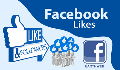 Facebook Followers + Likes