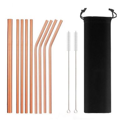 9pcs Reusable Metal Straws