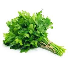 Fresh Parsley Leaves