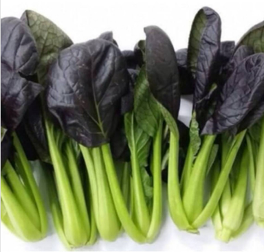 Meod Red Pak Choy (150g)