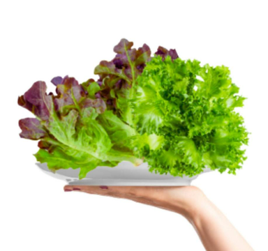 Meod Salad Bundle B ( Red Oak & Crystal Lettuce ) 200g -沙拉生菜