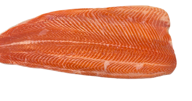 Salmon Trout Fillet