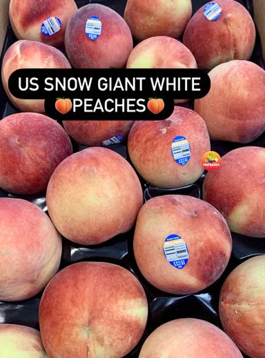 US WASHINGTON SNOW GIANT WHITE PEACHES