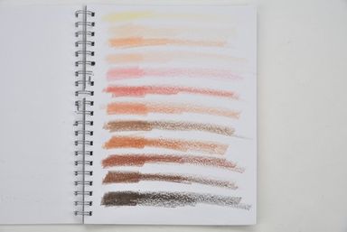 12 Skin Tones Stick Crayons