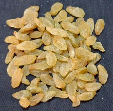 Indian Raisins