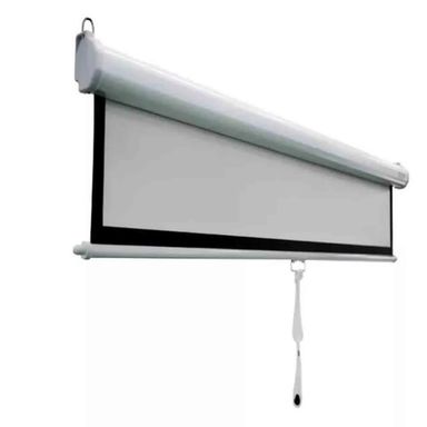 Wall Mounted Manual 1:1 Projector Screen