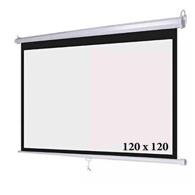 Wall Mounted Manual 1:1 Projector Screen