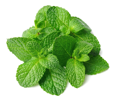 Mint Leaves 100g