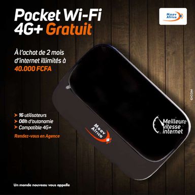 Pocket WIFI 4G+