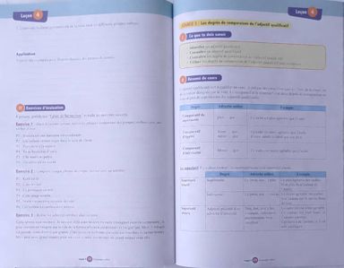 Français / Les Cahiers de la Réussite (Valesse) - 6ieme