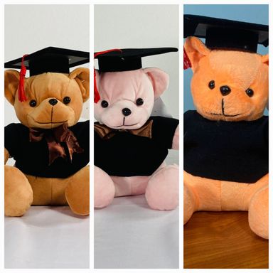 Small Graduation Teddy Bear