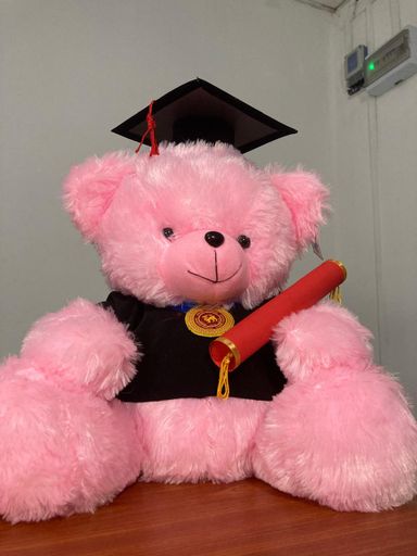 Extra Large Graduation Teddy Bear