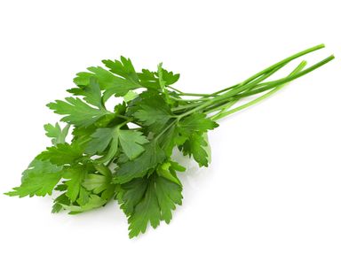 Italian Parsley