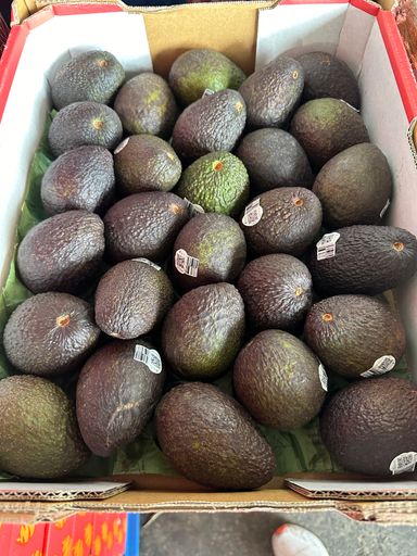 AVOCADO (AUST)30’s per ctn