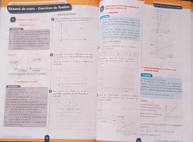 Mathematique / Cahier d’habileté - 5ieme (JD Editions)