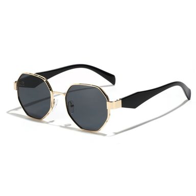 Astro II Sunglasses 