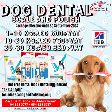 Dental cleaning for your dog and enjoy a FREE Hill’s Dental Care food bag + an exclusive dental care set!