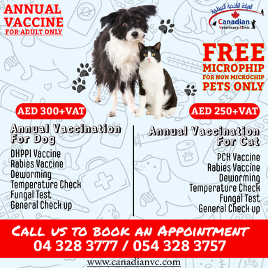 Annual Vaccination Package for Cats and Dogs