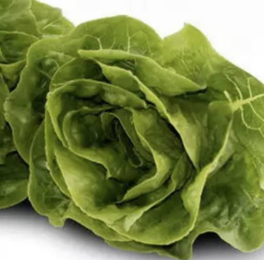 Meod Cos Lettuce (150g)-沙拉生菜