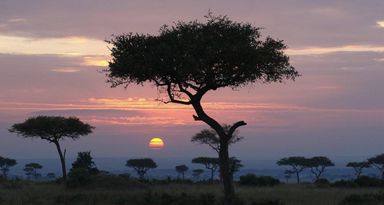 3 DAY SAMBURU NATIONAL RESERVE SAFARI