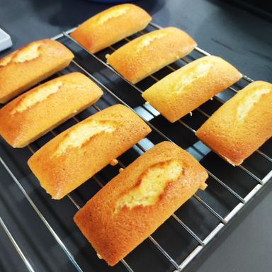 Financiers [Small]