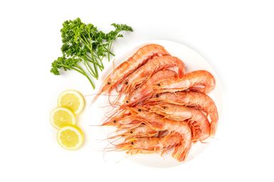 White Prawn Medium