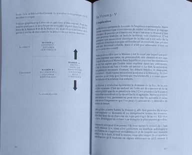 Trouver le bonheur avec l'astrologie de coaching (Sébastien Michel)