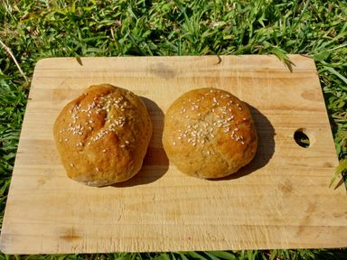 Gluten Free Seeded Brown Burger Buns