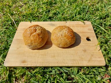 Gluten Free Seeded Brown Burger Buns