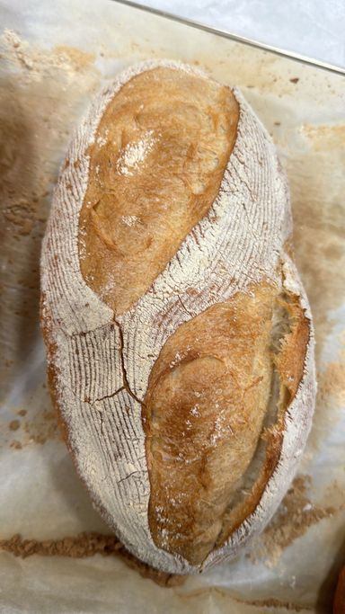 Sourdough 