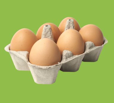 Free range eggs