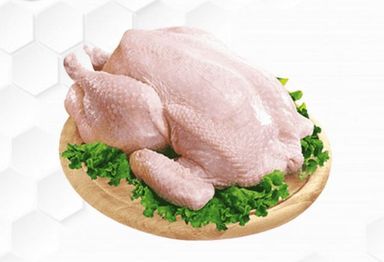 Ayam Broiler  Negri utuh 1 ekor 900gr-1kg