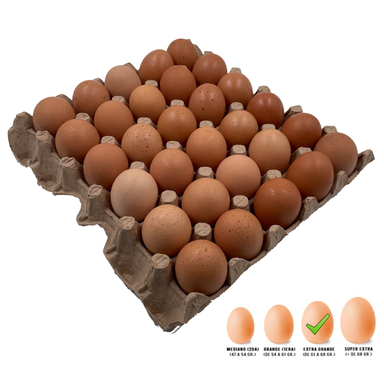 Huevos Gallinas Color Bandeja 30 unidades Tamaño Extra Grande