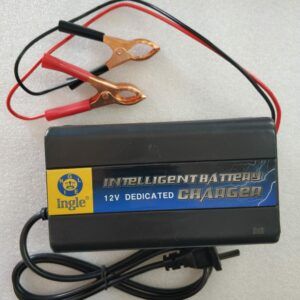 12v 10A Intelligent Pulse Charger