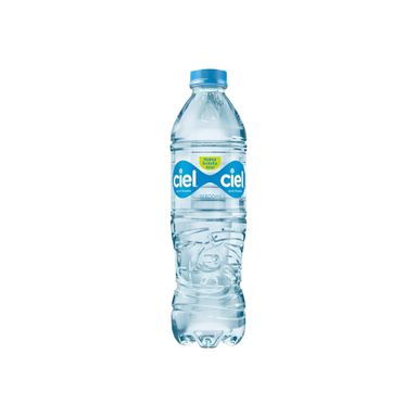 AGUA CIEL 600 ML PET 24 PZ